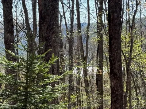 Lot 22 Bright Mountain Road Cullowhee NC 28723