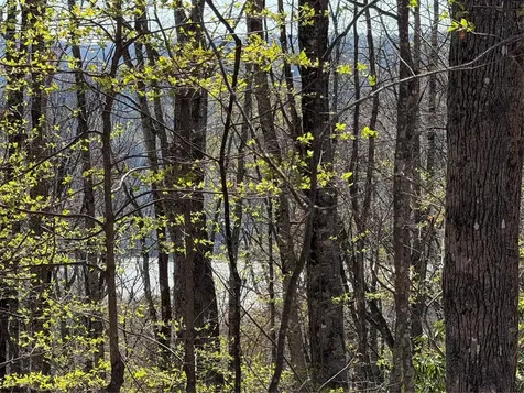 Lot 22 Bright Mountain Road Cullowhee NC 28723