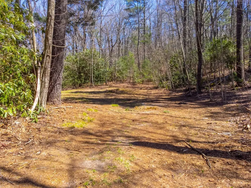 Lot 58 Wandering Ridge Drive Cashiers NC 28717