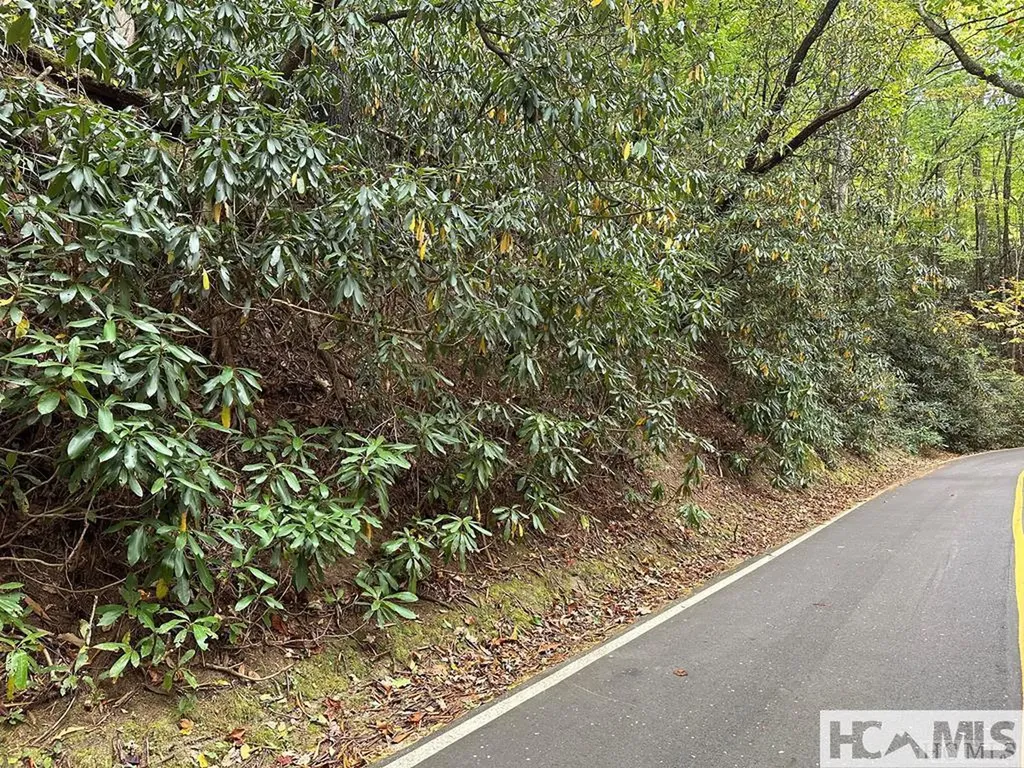 Lot 65 West Christy Trail Sapphire NC 28774