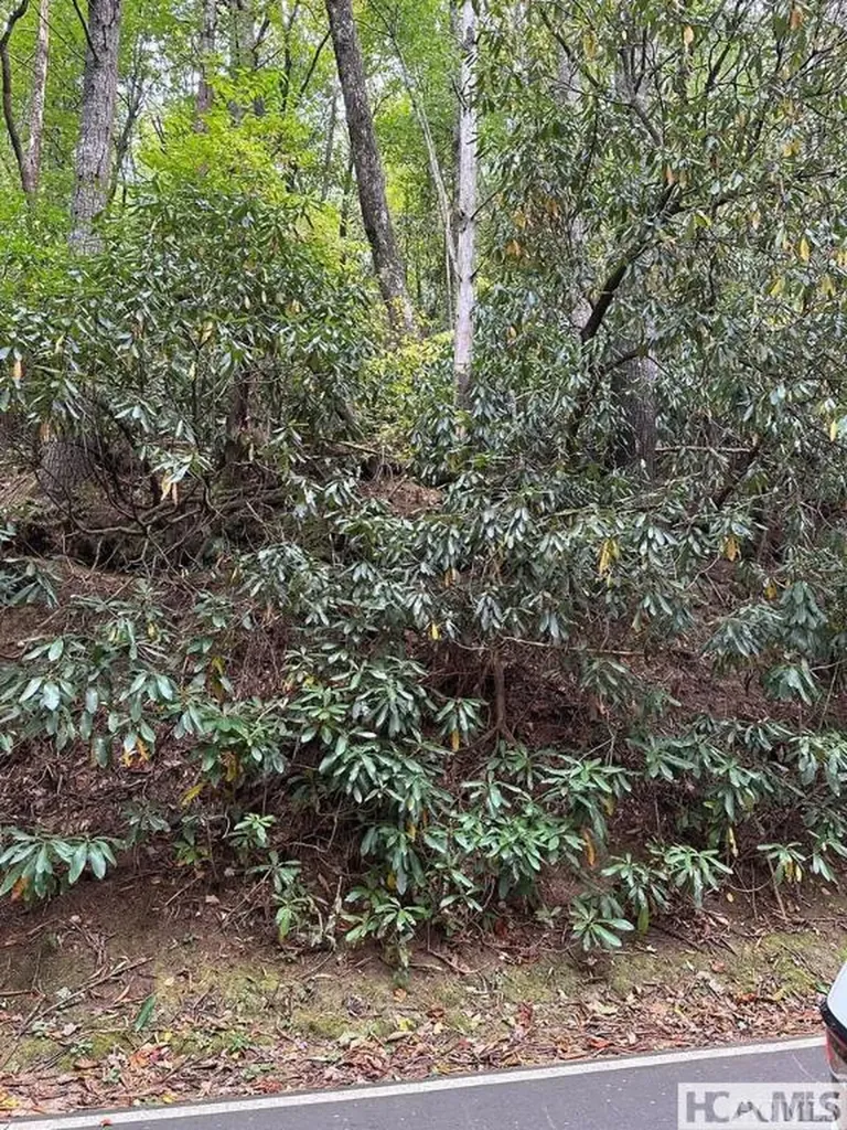 Lot 65 West Christy Trail Sapphire NC 28774