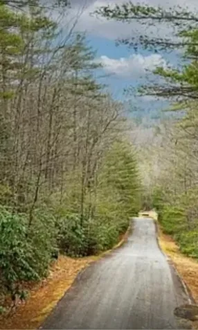 75 Big Pine Road Sapphire NC 28774