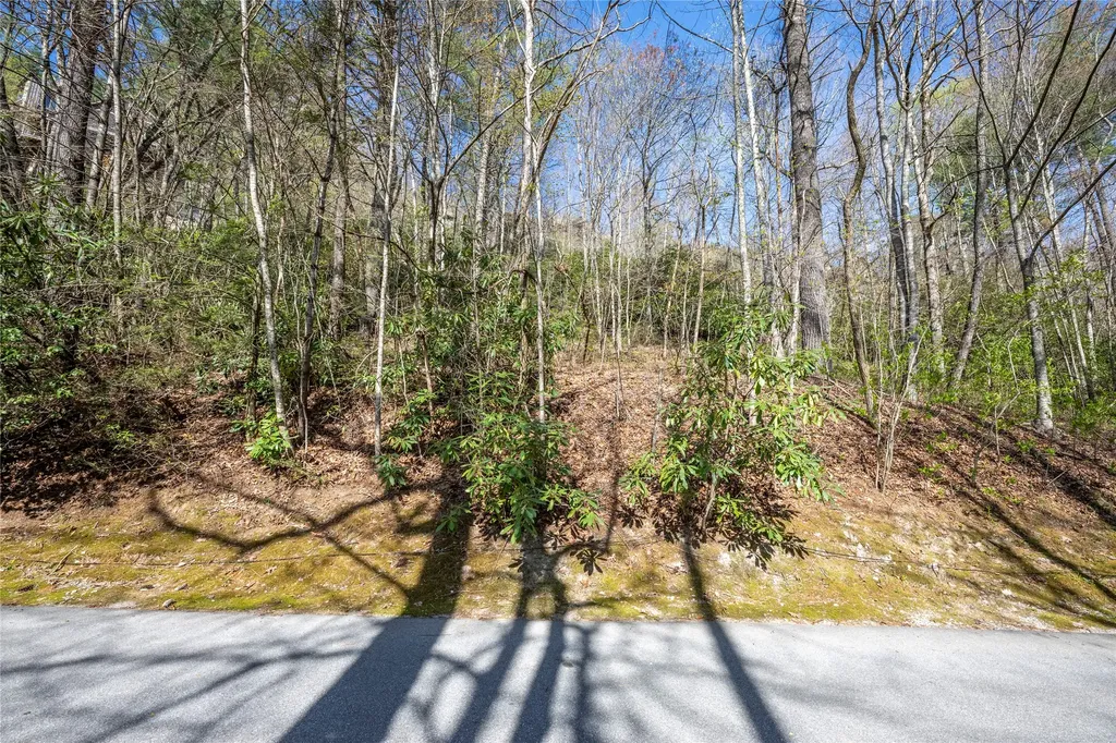 18 Country Club Estates Drive Sapphire NC 28774