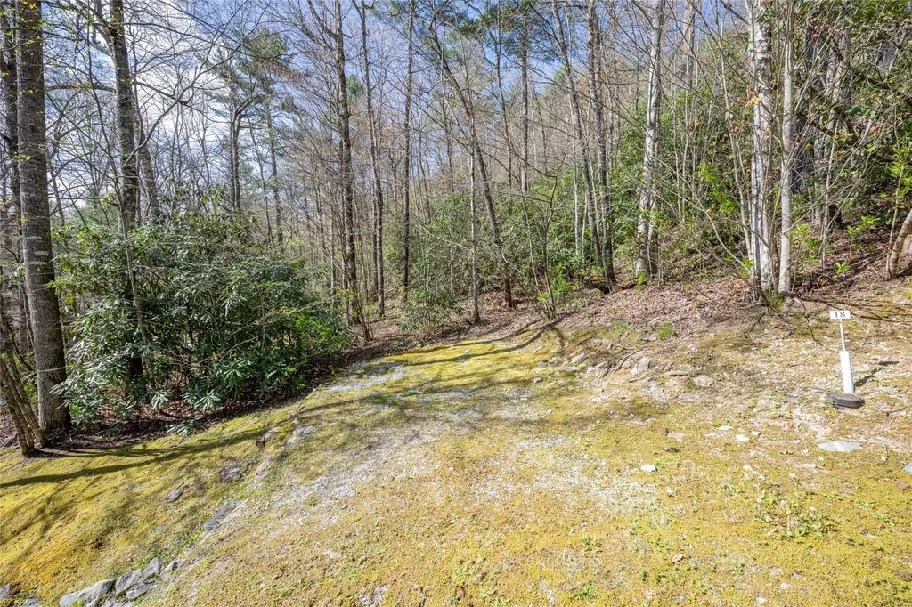 18 Country Club Estates Drive Sapphire NC 28774