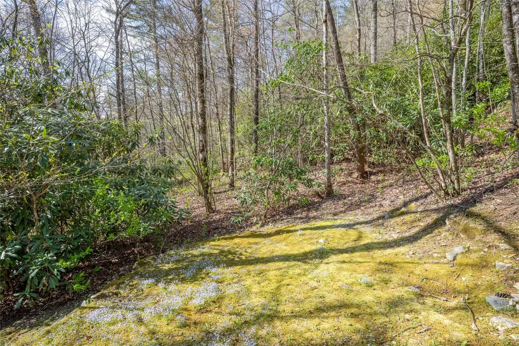 18 Country Club Estates Drive Sapphire NC 28774