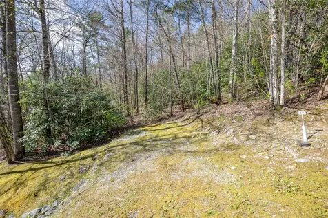 18 Country Club Estates Drive Sapphire NC 28774