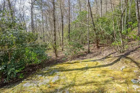 18 Country Club Estates Drive Sapphire NC 28774