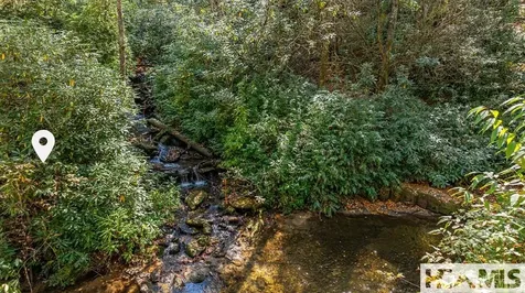 Lot 55 Wandering Ridge Cashiers NC 28717
