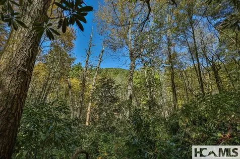 Lot 55 Wandering Ridge Cashiers NC 28717