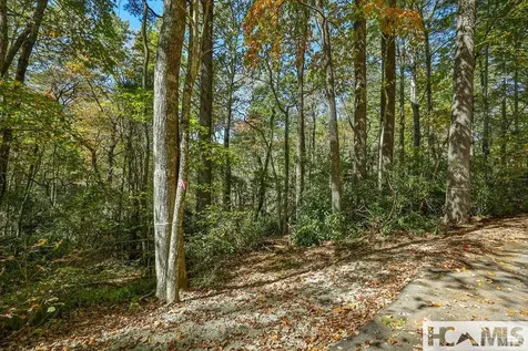Lot 55 Wandering Ridge Cashiers NC 28717