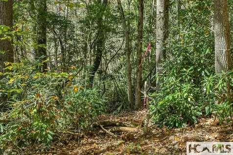 Lot 55 Wandering Ridge Cashiers NC 28717
