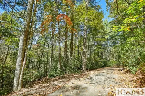 Lot 55 Wandering Ridge Cashiers NC 28717