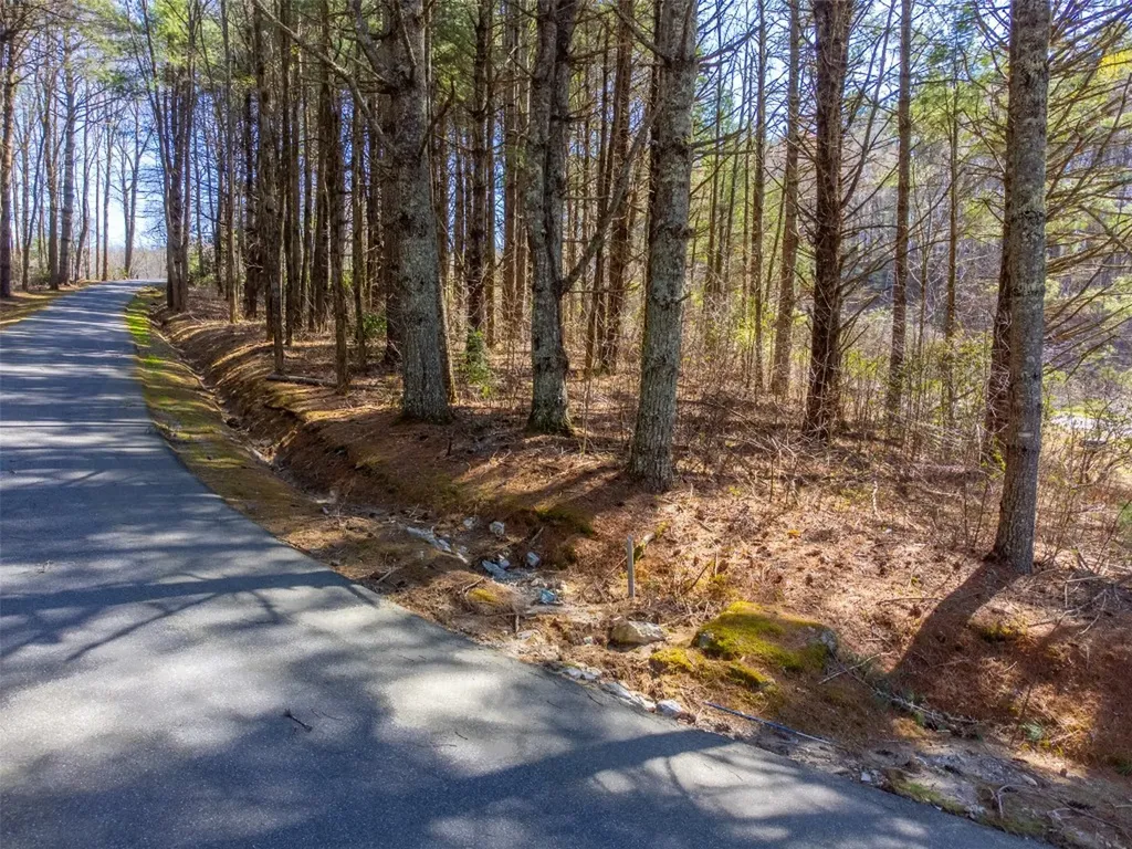 424 Receptive Drive Glenville NC 28736