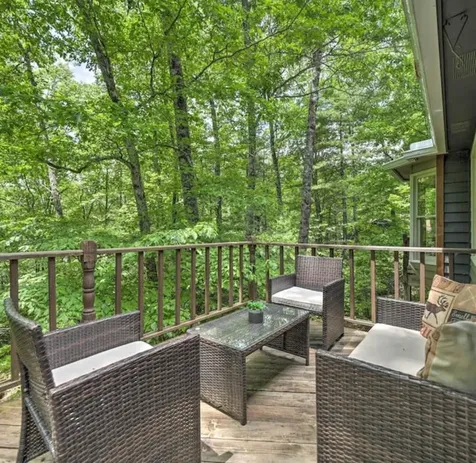 46 Poplar Court Sapphire NC 28774