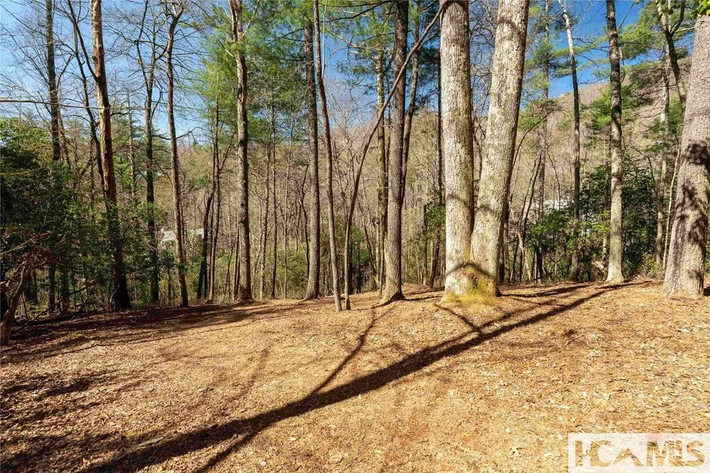 124 Taut Line Lane Sapphire NC 28774