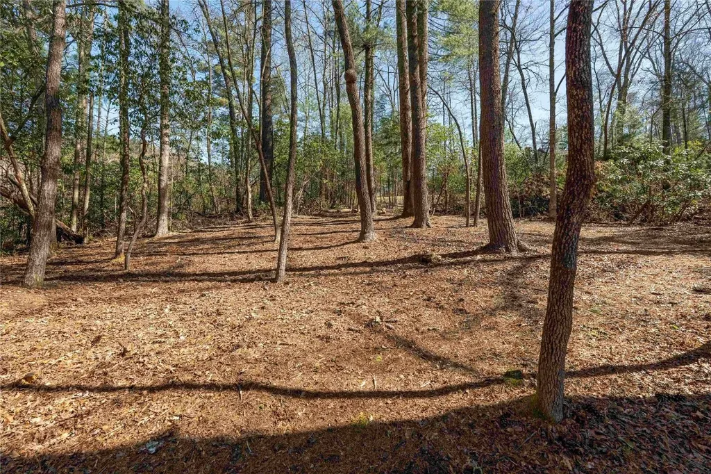 124 Taut Line Lane Sapphire NC 28774