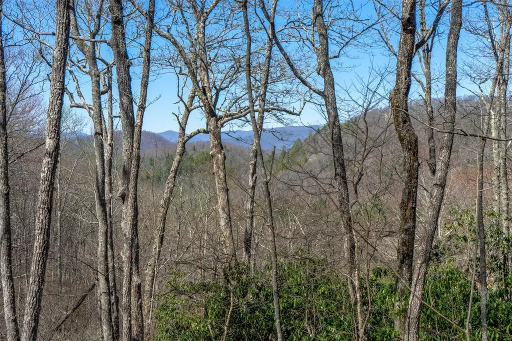 52 New Settlers Way Glenville NC 28736