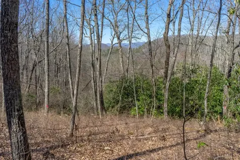 52 New Settlers Way Glenville NC 28736