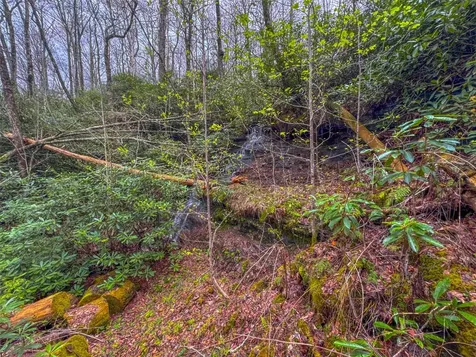 52 New Settlers Way Glenville NC 28736