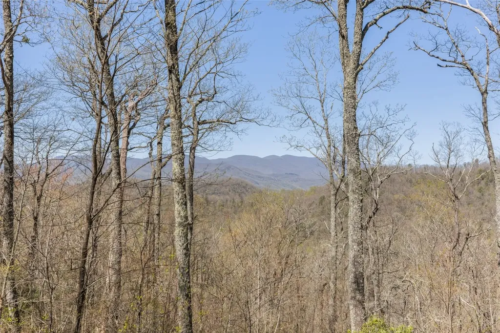 2473 Highland Gap Road Scaly Mountain NC 28775