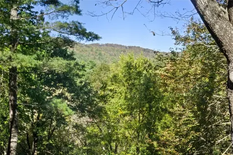 497 Tower Road Sapphire NC 28774