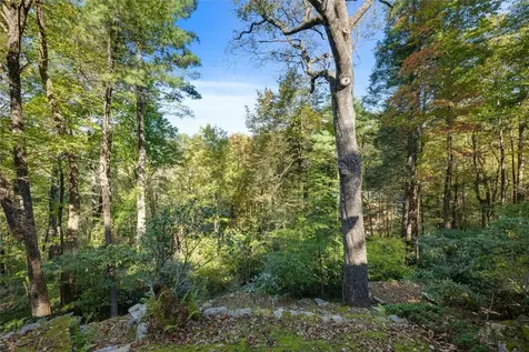 497 Tower Road Sapphire NC 28774