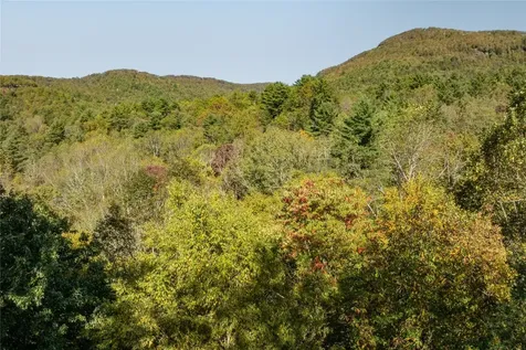 497 Tower Road Sapphire NC 28774