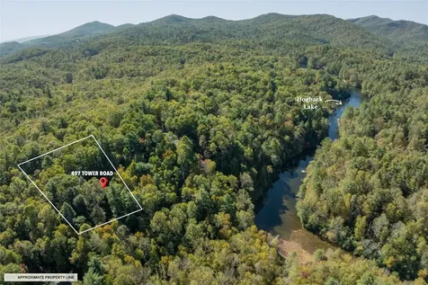 497 Tower Road Sapphire NC 28774