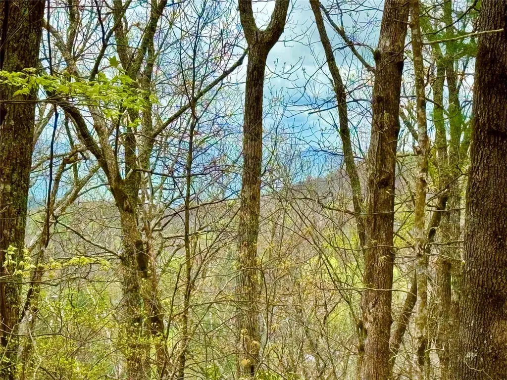 Tbd Eastside Duck Mountain Road Scaly Mountain NC 28775