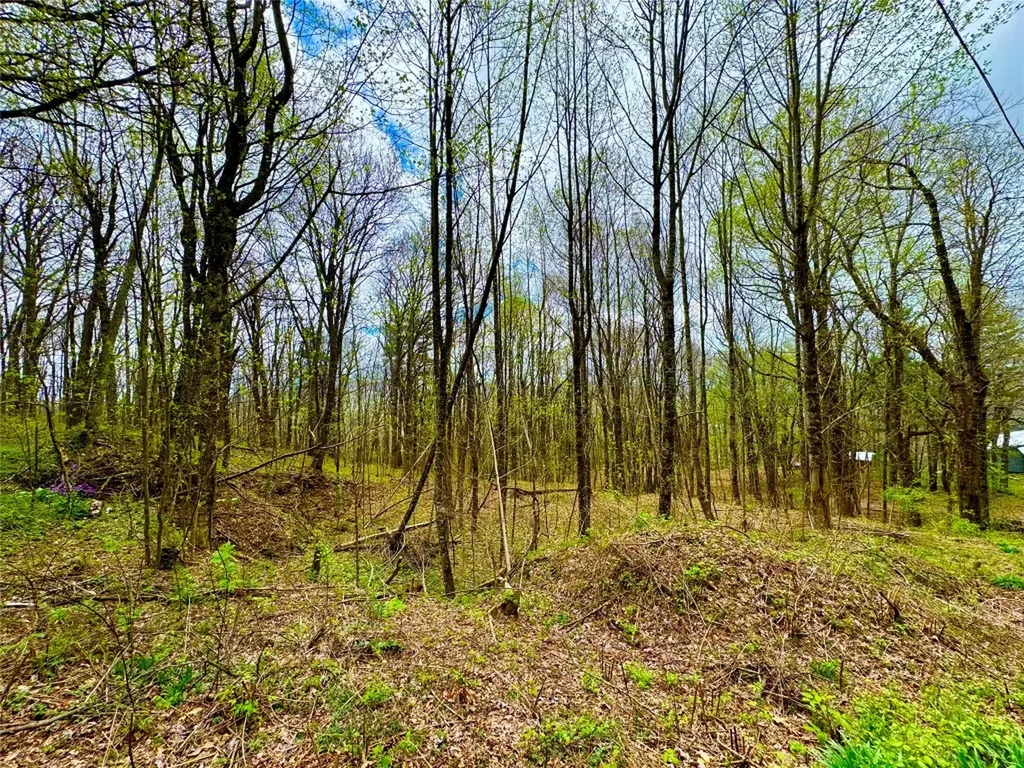 Tbd Eastside Duck Mountain Road Scaly Mountain NC 28775