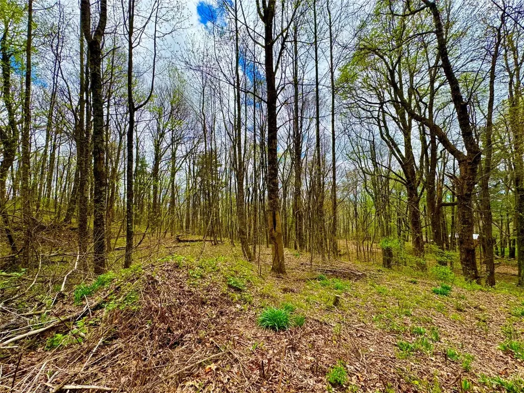 Tbd Eastside Duck Mountain Road Scaly Mountain NC 28775