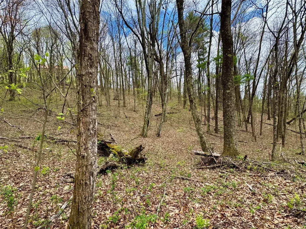 Tbd Eastside Duck Mountain Road Scaly Mountain NC 28775
