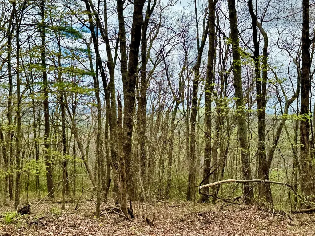 Tbd Eastside Duck Mountain Road Scaly Mountain NC 28775