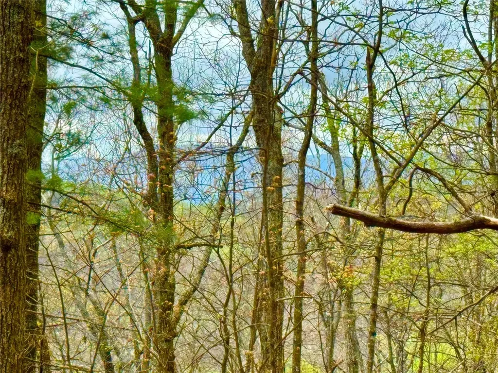 Tbd Eastside Duck Mountain Road Scaly Mountain NC 28775