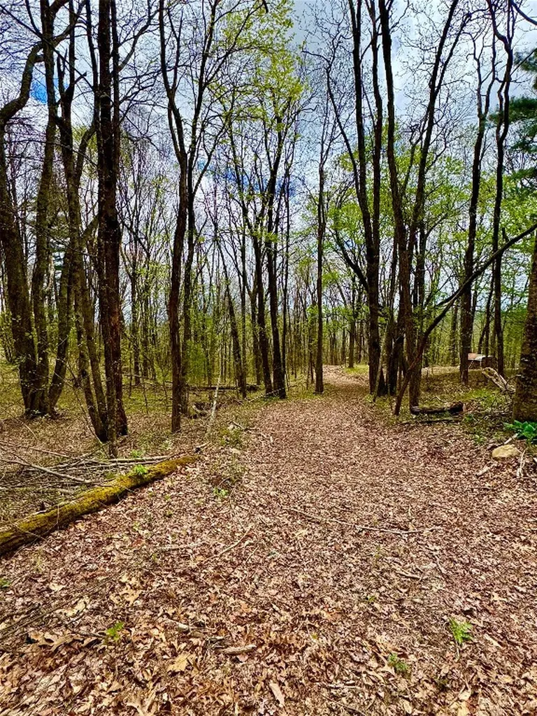 Tbd Eastside Duck Mountain Road Scaly Mountain NC 28775