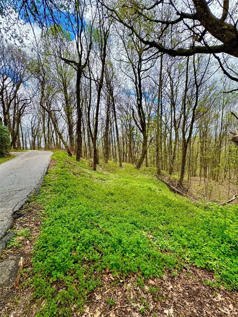 Tbd Eastside Duck Mountain Road Scaly Mountain NC 28775