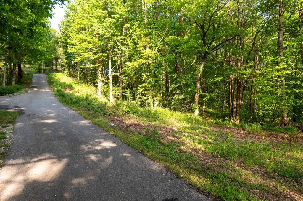 Tbd Eastside Duck Mountain Road Scaly Mountain NC 28775
