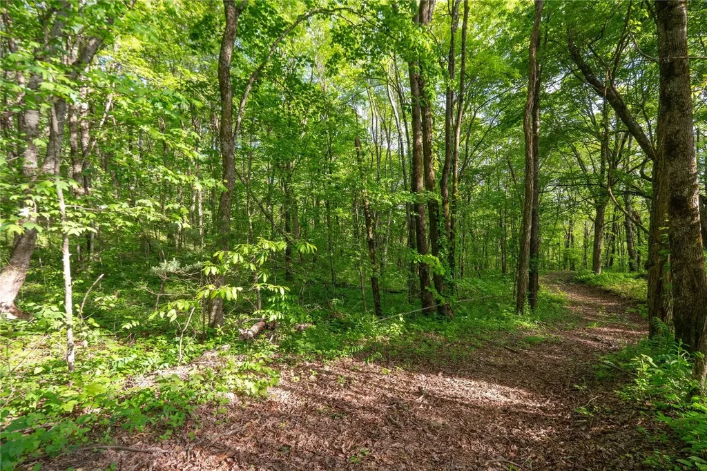 Tbd Eastside Duck Mountain Road Scaly Mountain NC 28775