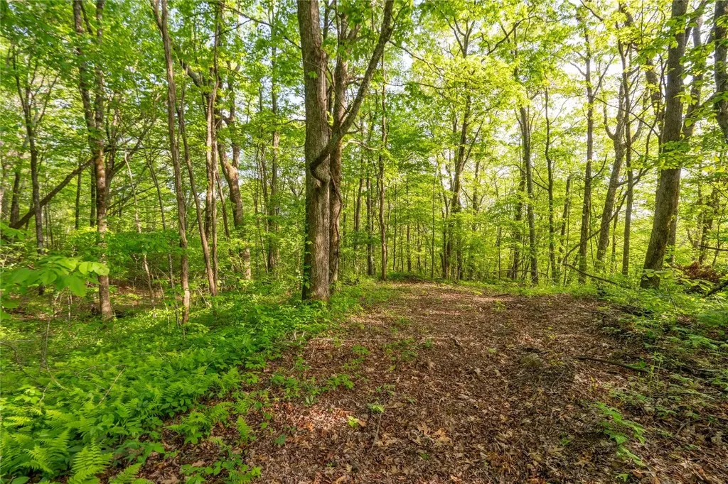 Tbd Eastside Duck Mountain Road Scaly Mountain NC 28775