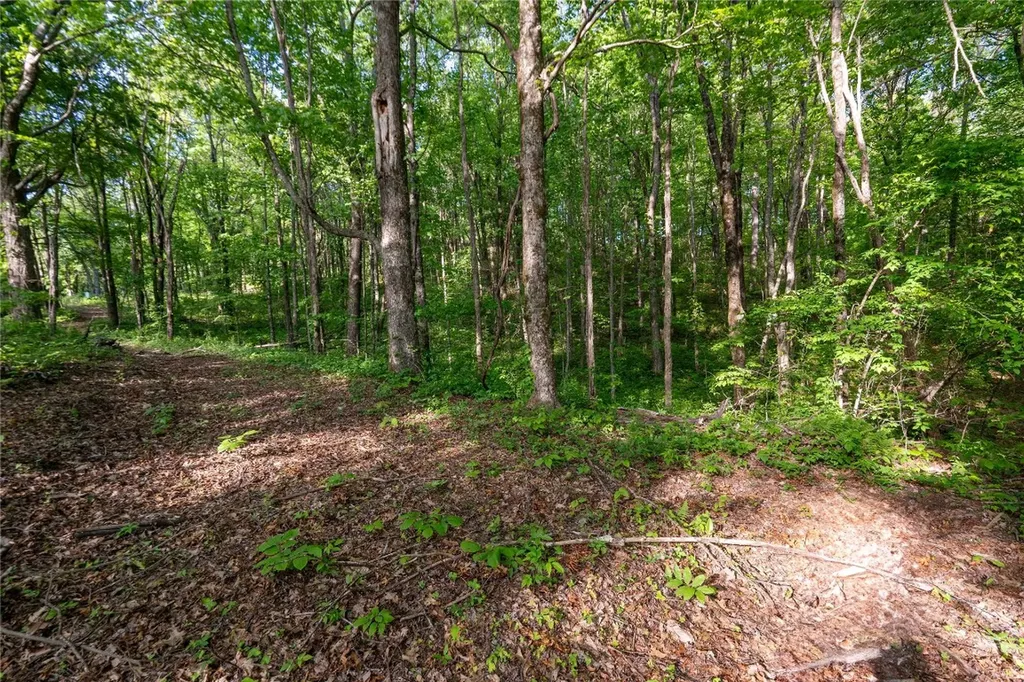 Tbd Eastside Duck Mountain Road Scaly Mountain NC 28775