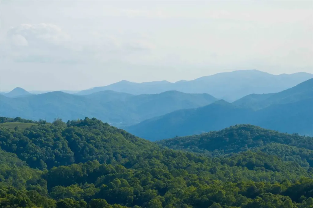 Tbd Eastside Duck Mountain Road Scaly Mountain NC 28775