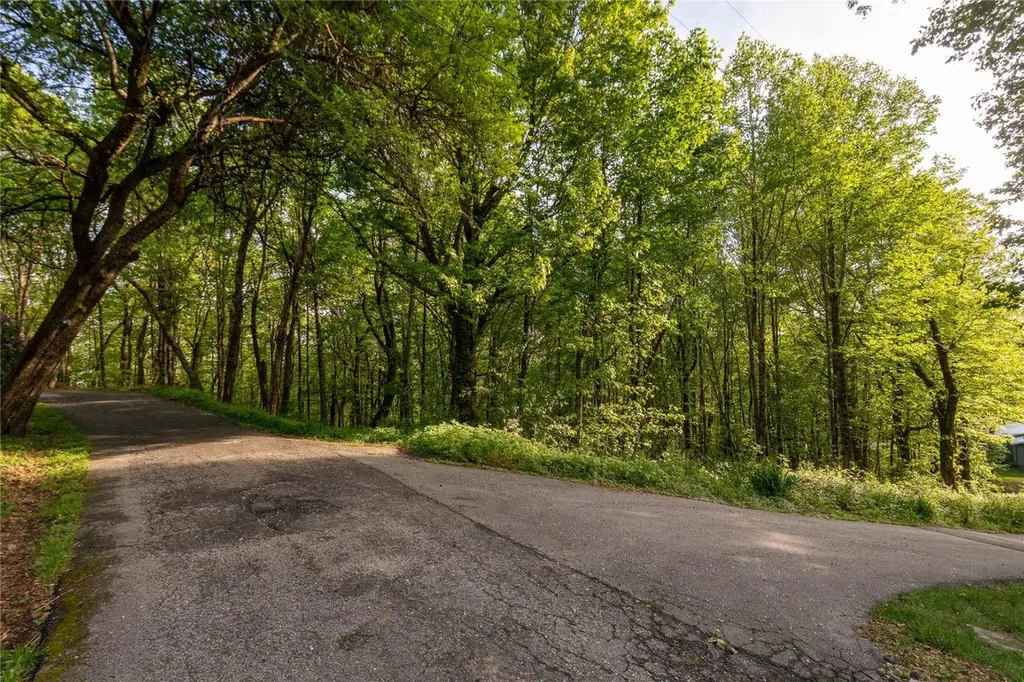Tbd Eastside Duck Mountain Road Scaly Mountain NC 28775