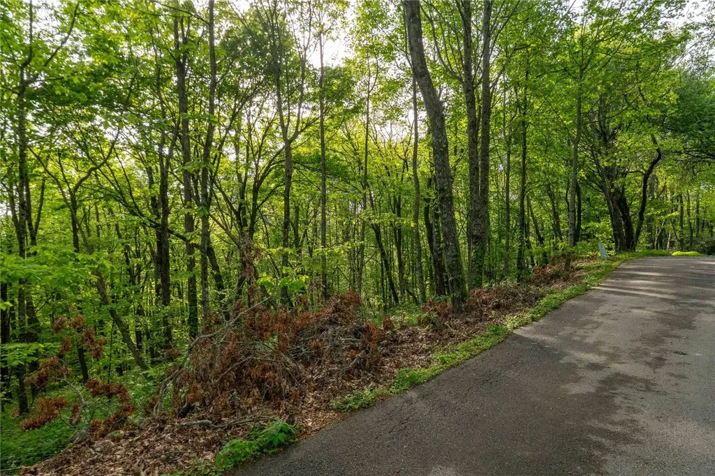 Tbd Eastside Duck Mountain Road Scaly Mountain NC 28775