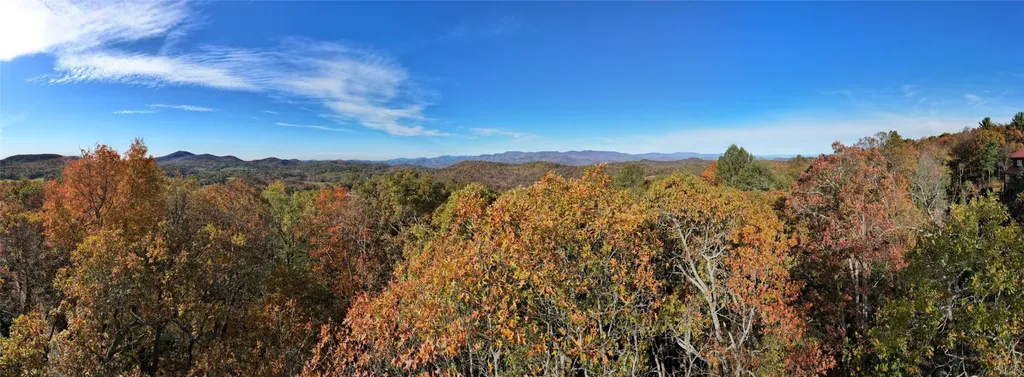 Tbd Eastside Duck Mountain Road Scaly Mountain NC 28775