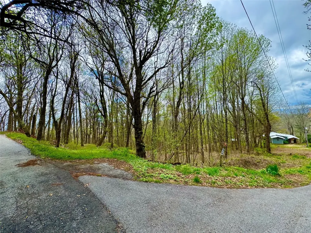 Tbd Eastside Duck Mountain Road Scaly Mountain NC 28775