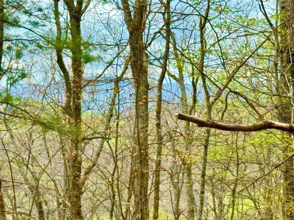 Tbd Eastside Duck Mountain Road Scaly Mountain NC 28775