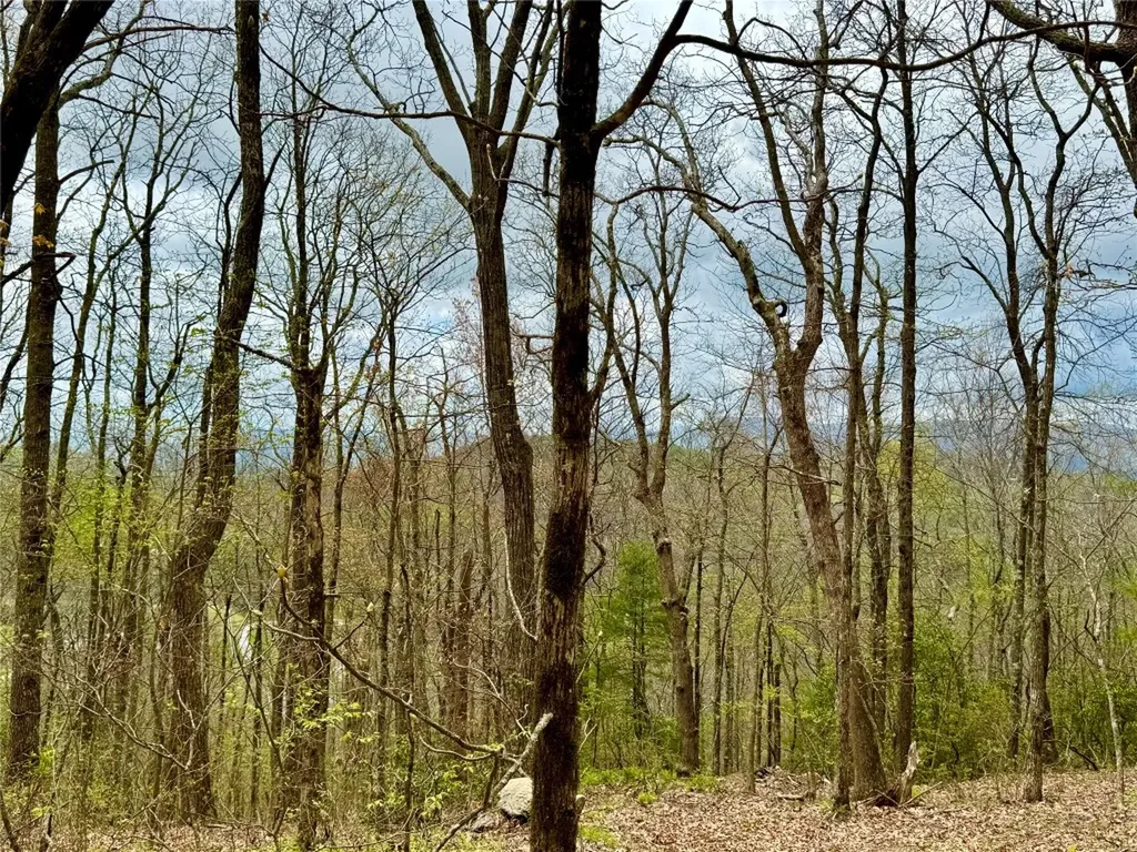 Tbd Eastside Duck Mountain Road Scaly Mountain NC 28775