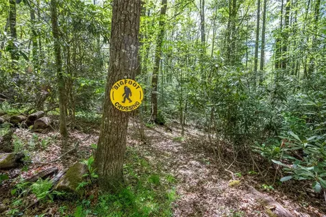 79 Azalea Court Sapphire NC 28774