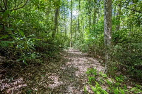 79 Azalea Court Sapphire NC 28774