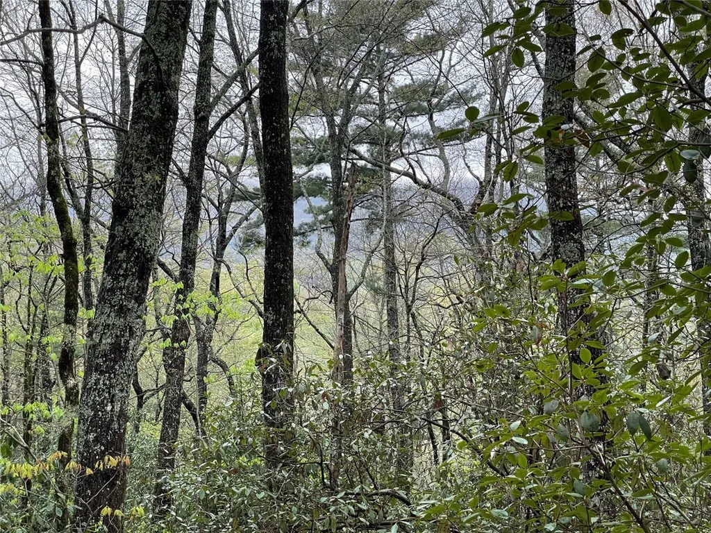 Lot 11 Cherokee Trace Lake Toxaway NC 28747